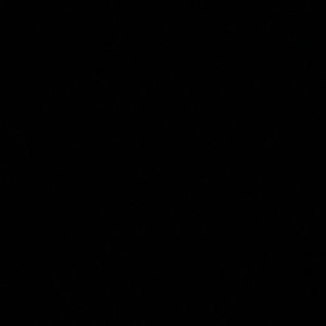 Meet your Posher, Mia